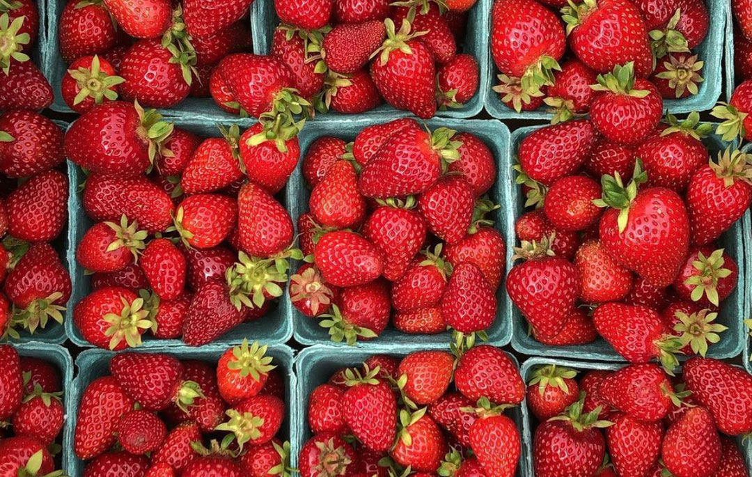 organic farmed strawberries in biodegradable containers